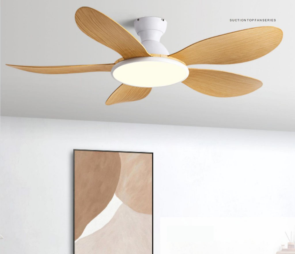 Ceiling mounted fan light series - Ceiling Fans | CHEERFUL Kenya image 3